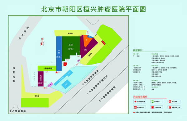 淫逼网免费看福利片福利北京市朝阳区桓兴肿瘤医院平面图